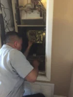 hVAC professional